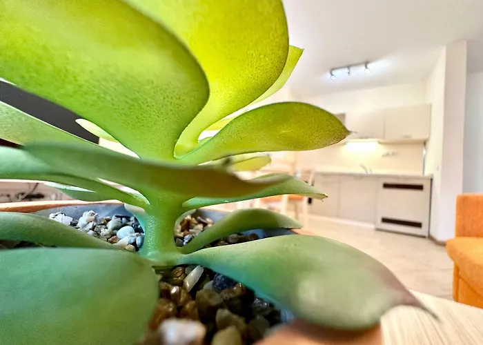 Menada Royal Sun Apartament